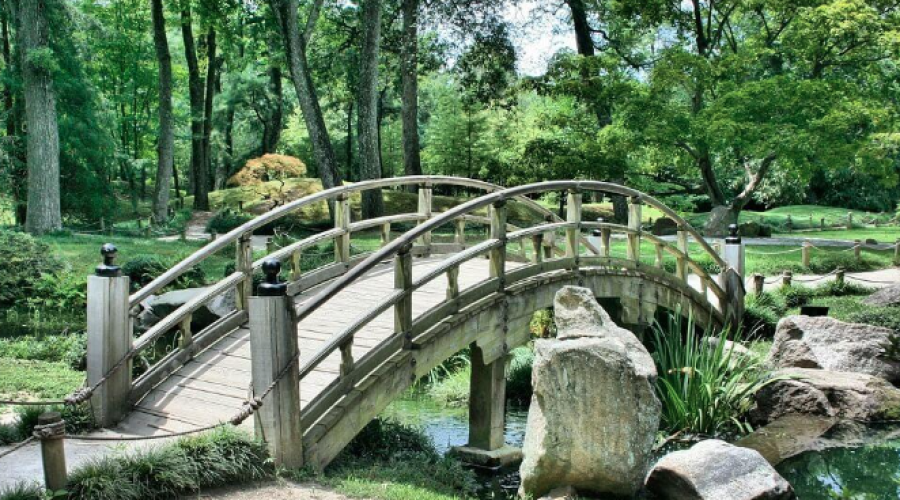 EXPERTOS CRITICAN EL CIERRE DE LOS PARQUES DE MADRID POR ALTAS TEMPERATURAS
