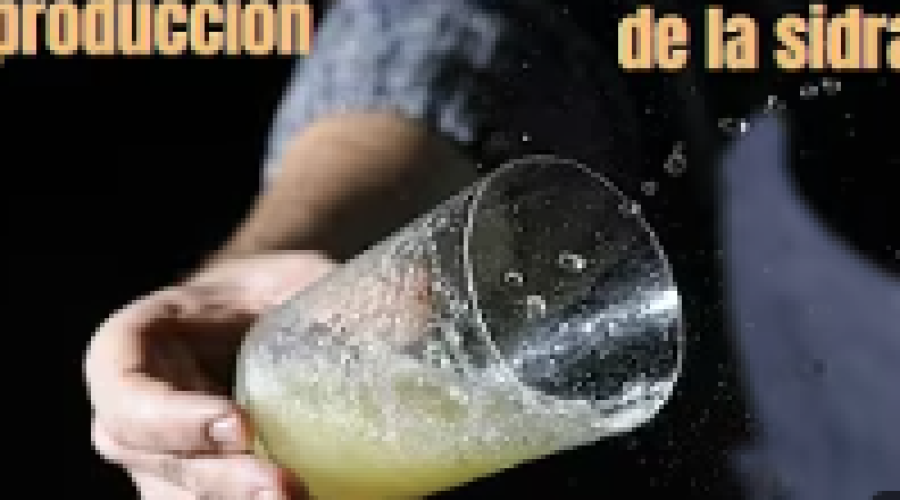 Reportaje LA SIDRA