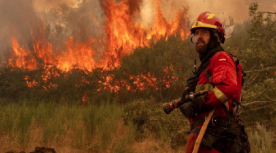 Renfe mantiene interrumpida la circulación de trenes entre Galicia y Madrid por los incendios