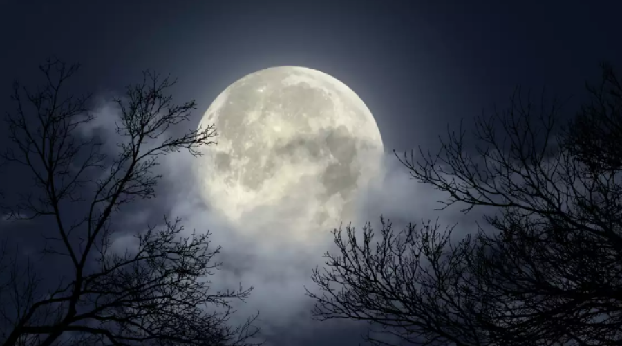 SUPERLUNA de Cazador