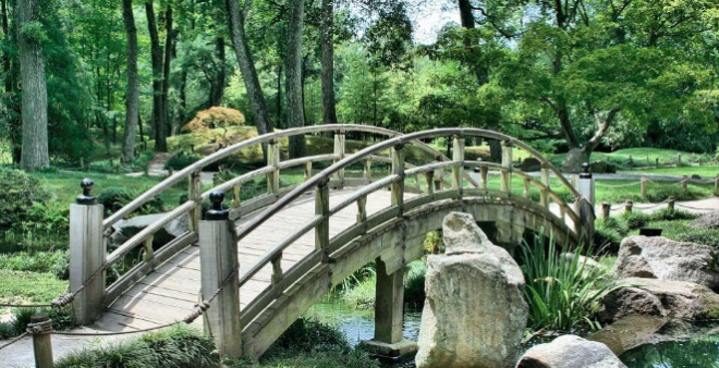 EXPERTOS CRITICAN EL CIERRE DE LOS PARQUES DE MADRID POR ALTAS TEMPERATURAS