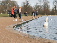 la llegada de la primavera estutele.com