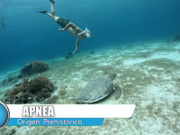 Deportes acu&aacute;ticos estutele.com