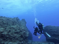 Deportes acu&aacute;ticos estutele.com