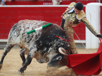 San Isidro 2025 ya tiene due&ntilde;os: Madrid se&ntilde;ala a sus h&eacute;roes estutele.com