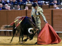 San Isidro 2025 ya tiene due&ntilde;os: Madrid se&ntilde;ala a sus h&eacute;roes estutele.com