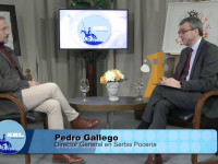 PEDRO GALLEGO SE BUSCAN LOCOS POR LA CORDURA estutele.com