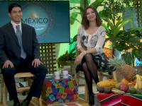P4, MEXICO LINDO Y QUERIDO