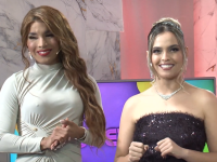 E4, CONEXI&Oacute;N VIP FERNANDO BODEGA SERGIO CHECA estutele.com