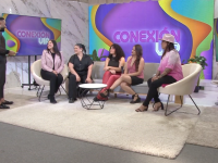 E11 Conexión vip ESTUTELE.COM